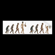 Mandolution bumper stickers
