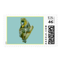 Mandrill Picture Gifts postage