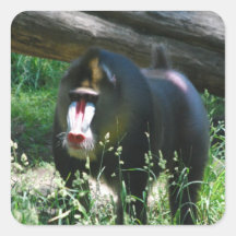 Mandrill Stickers