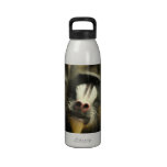 Mandrill Water Bottle 