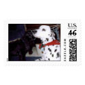 Mandy&Spree Stamp