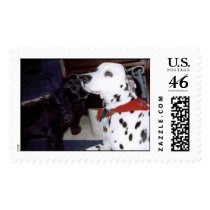 Mandy&Spree Stamp