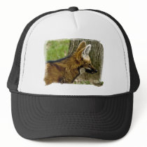 Maned Wolf  1529 Hat