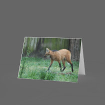 Maned Wolf Greeting Card cards