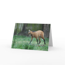Maned Wolf Greeting Card