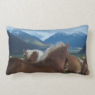 Belgian Draft Horse Toss Pillow