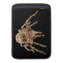 Manga del carrito de la araña del Tarantula Fundas Macbook Air