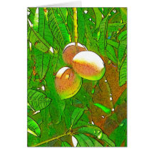 Mango Cards
