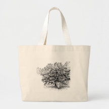 Mango Farmer Bags