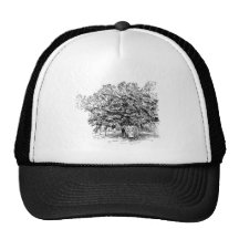 Mango Farmer Trucker Hats