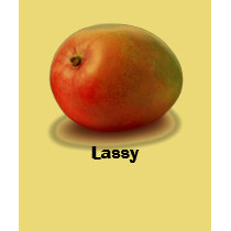 Mango Lassy t-shirts