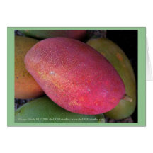 Mango Study #1 Card