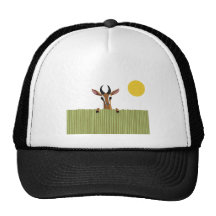 Mango the Gazelle Peek-a-boo Mesh Hats