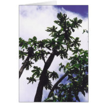 Mango Tree Greeting Card