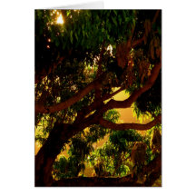 Mango Tree Greeting Cards