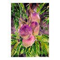 mango_tree_painting posters by dereklovessheila mango_tree_painting posters