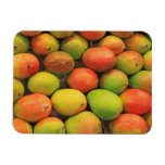 Mangos, Spain, Catalonia, Barcelona, La Boqueria Rectangular Magnets