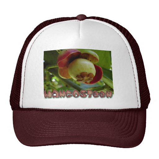 Mangosteen Mesh Hats