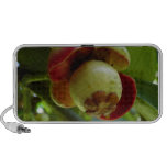 Mangosteen Travel Speaker
