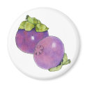 Mangosteens Magnet by floatinglemons Mangosteens Magnet