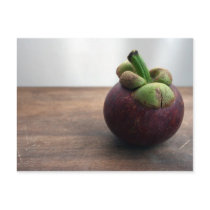 Mangosteens postcards