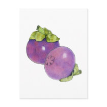 Mangosteens Postcard