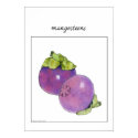 Mangosteens posters