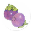 Mangosteens Sticker by floatinglemons Mangosteens Sticker