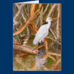 Mangrove Egret No. 2 cards