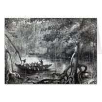 Mangrove Forest' Greeting Cards