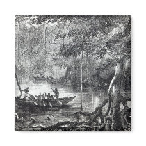 Mangrove Forest' Magnet