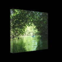 Mangrove Kayaking canvas prints