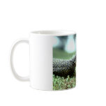 Mangrove Monitor Lizard mugs