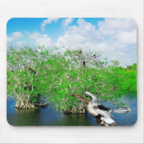 Mangrove Trees & Anhinga, Florida Everglades Mouse Pads