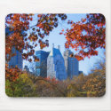 Manhattan, NY, Central Park mousepad by vitaliy Manhattan, NY, Central Park mousepad