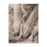 Manicure Please! Postcard