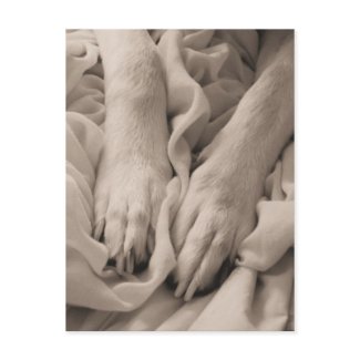 Manicure Please ~ Postcard Dog Paw French Nail postcard