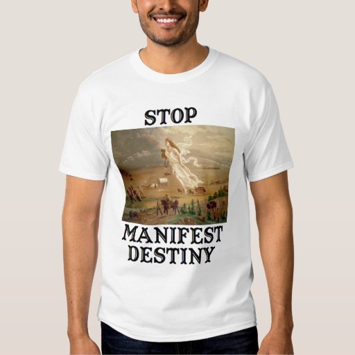 destiny shirt