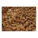 manila clams cards