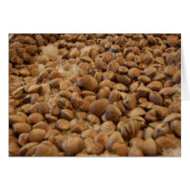 manila clams cards