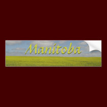 Manitoba Bumper Sticker Manitoba Souvenir bumper stickers