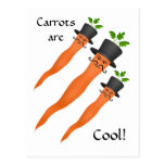 Manly fancy carrot with a handlebar moustache postcard