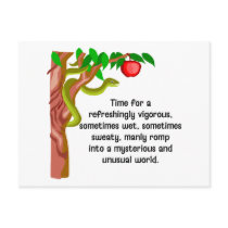 Manly Romp Postcard