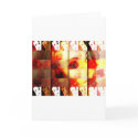 mannequin dreams cards