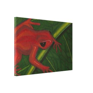 Manny The Mantella (Frog) Gallery Wrap Canvas