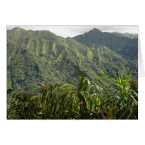 Manoa Valley cards by joeyartist Manoa Valley cards