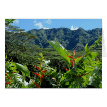 Manoa Valley cards by joeyartist Manoa Valley cards