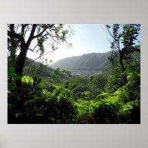 Manoa Valley, Hawaii Poster
