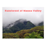 Manoa Valley Rainforest Postcard