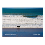 Manresa State Beach California Products Postcards